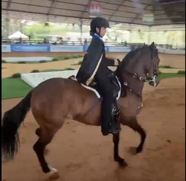 Competencia de Equitación