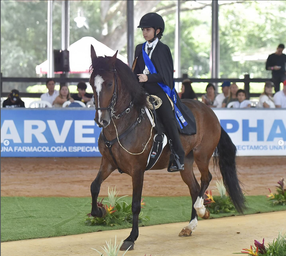Isabella en la Válida